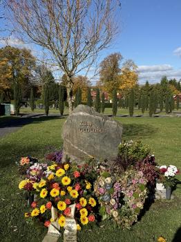 Friedhof (Eisfeld)